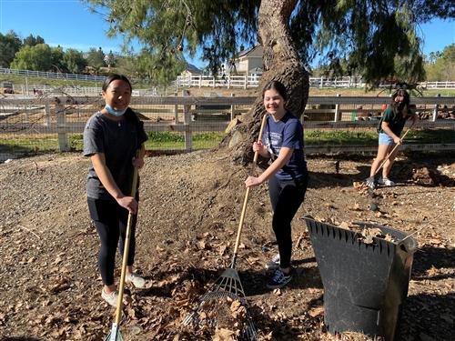NHS Ladies hard at work